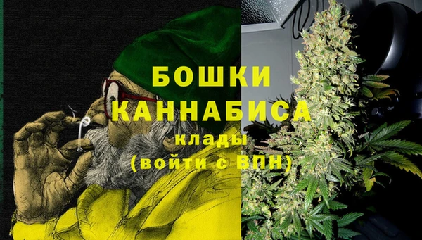 гидра Осинники