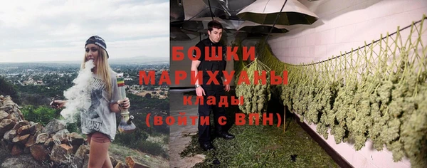 тгк Осташков