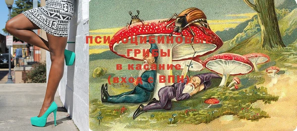 гидра Осинники