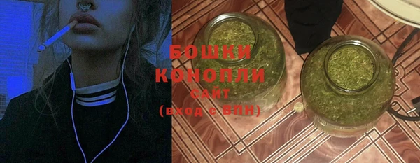 гидра Осинники