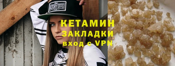 индика Бикин