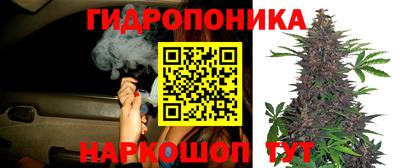 PSILOCYBIN Апрелевка