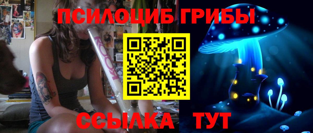 Галлюциногенные грибы Psilocybe  Вход с VPN  Татарск 